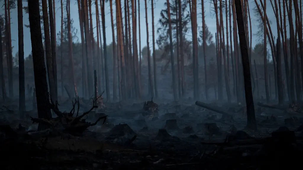 Seit-Mittwoch-sind-Feuerwehren-und-andere-Einsatzkraefte-auf-der-Saalfelder-Hoehe-ununterbrochen-im-Einsatz