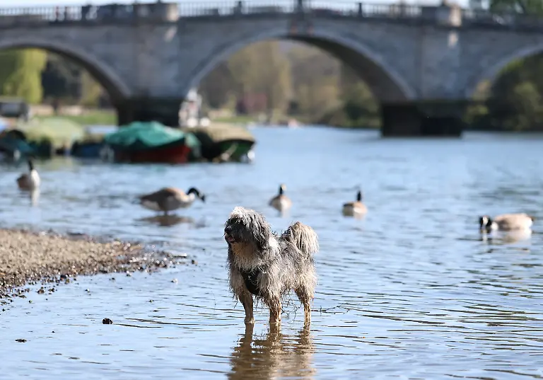 2025-04-01T153615Z-752348879-RC22PDA87HIV-RTRMADP-3-EUROPE-WEATHER-BRITAIN