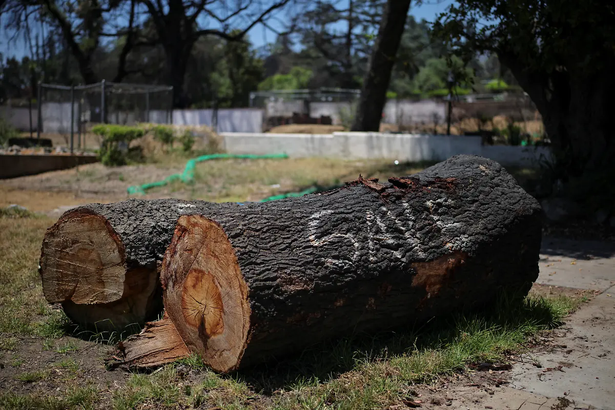 2025-07-03T100535Z-1984587487-RC2KCFA0NDJU-RTRMADP-3-CALIFORNIA-WILDFIRES-ALTADENA