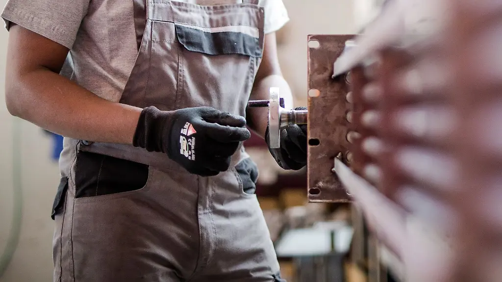 Gerade-im-Handwerk-gibt-es-laut-Carmen-Haas-von-der-Handwerkskammer-Luebeck-einen-grossen-Anteil-von-Auszubildenden-mit-auslaendischer-Staatsbuergerschaft