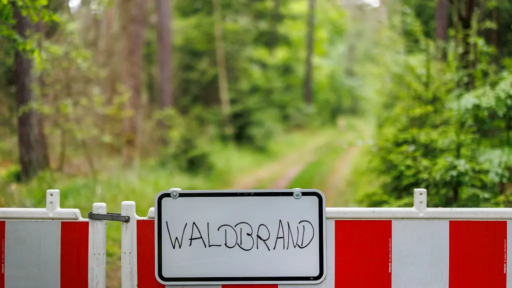 Die-Waldbrandgefahr-in-Bayern-ist-hoch