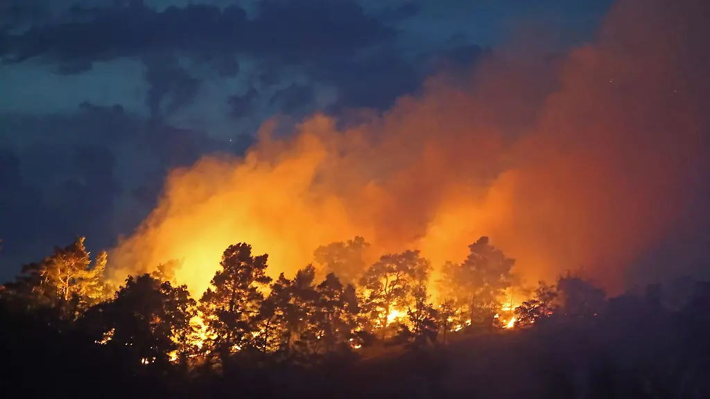 Flammen-am-Felsen-Lehof-verschlingen-ein-grosses-Waldgebiet