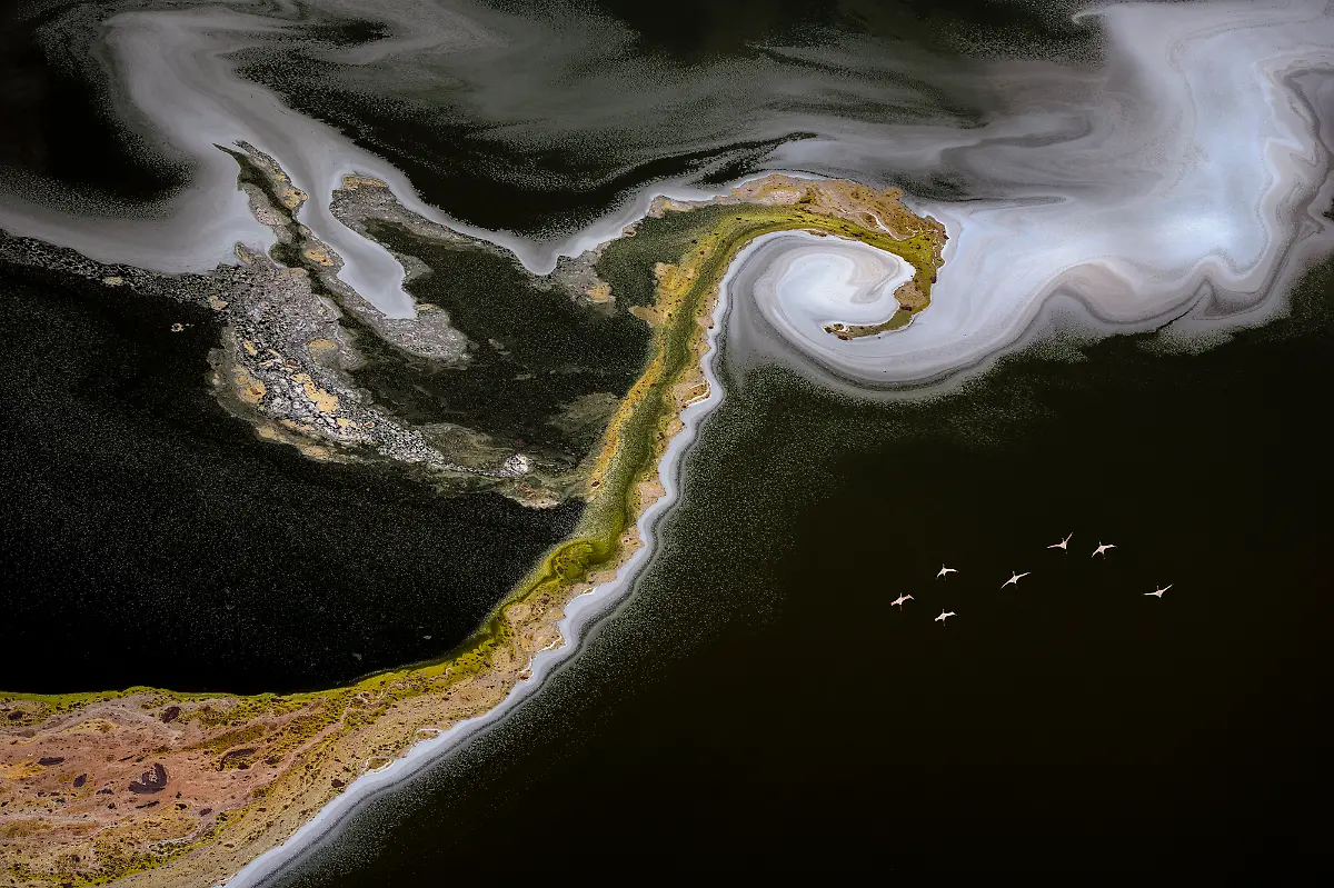 Flamingos-ueber-einem-See