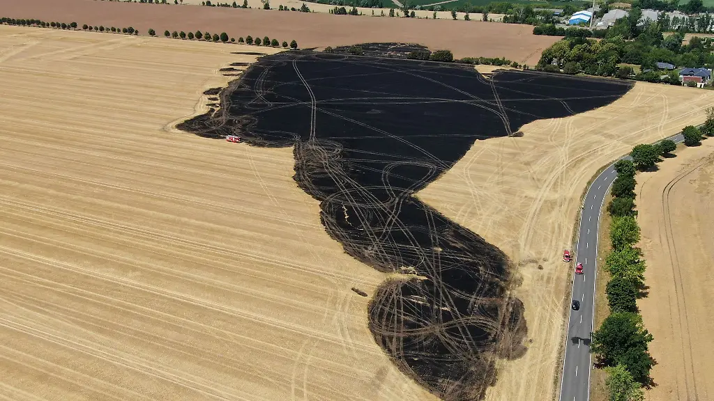 Rund-30-Hektar-gross-soll-der-Brand-gewesen-sein