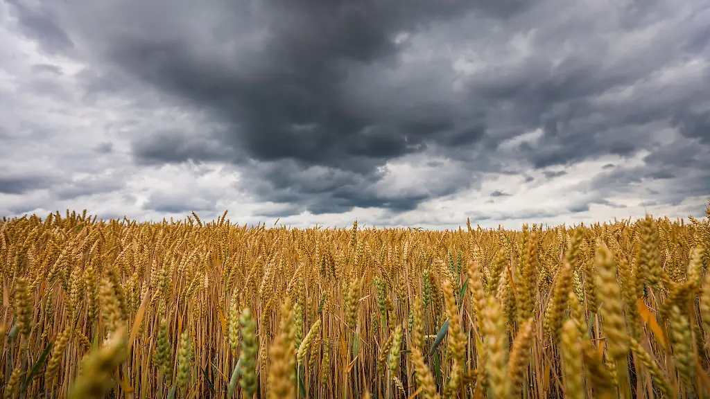 Die-Hitze-verabschiedet-sich-mit-Gewittern