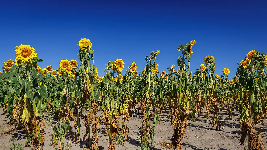 59ea7c6eef87ba1a53323a2dbfe6b414