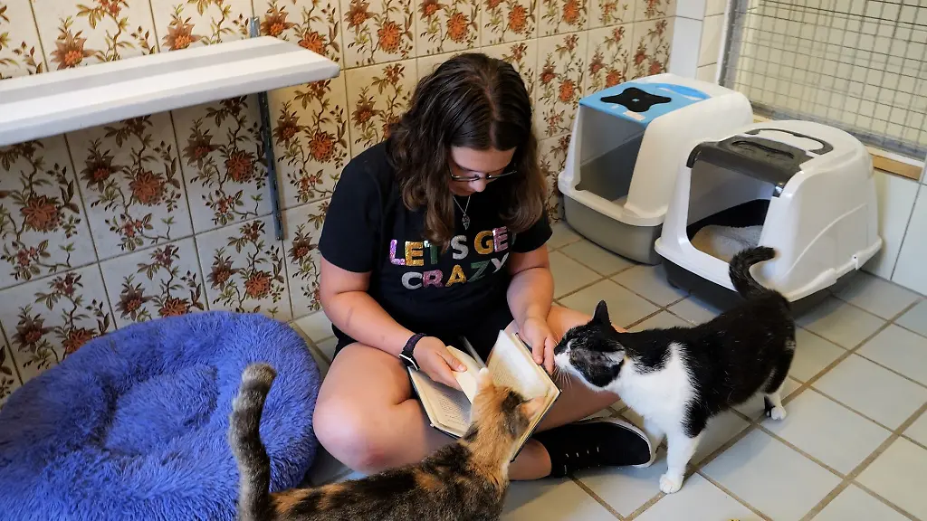 8628948ced640b2ec346ce0950ed6c66