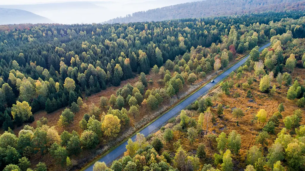 Im-Reinhardswald-noerdlich-von-Kassel-ist-am-Dienstag-ein-Feuer-ausgebrochen