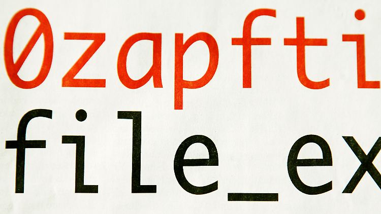 Die "FAS" druckte Teile des Computer-Codes der Spionagesoftware ab.