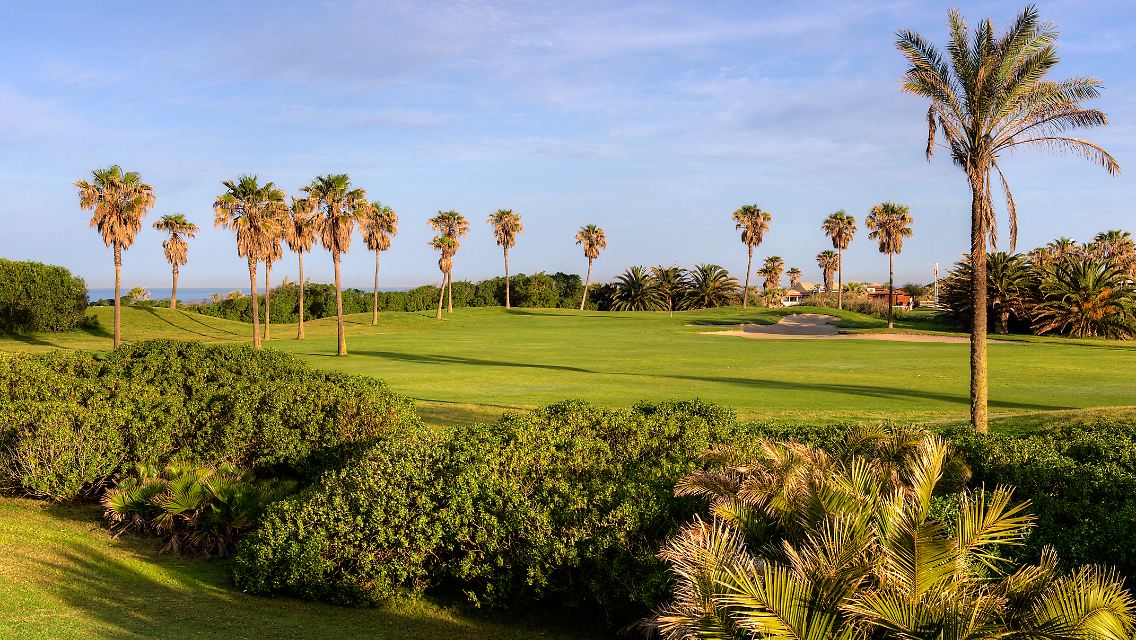 Abschlag unter Palmen: Urlauber finden in Rota schöne Golfplätze - im Costa Ballena Club kann man beim Spielen sogar das Meer sehen.