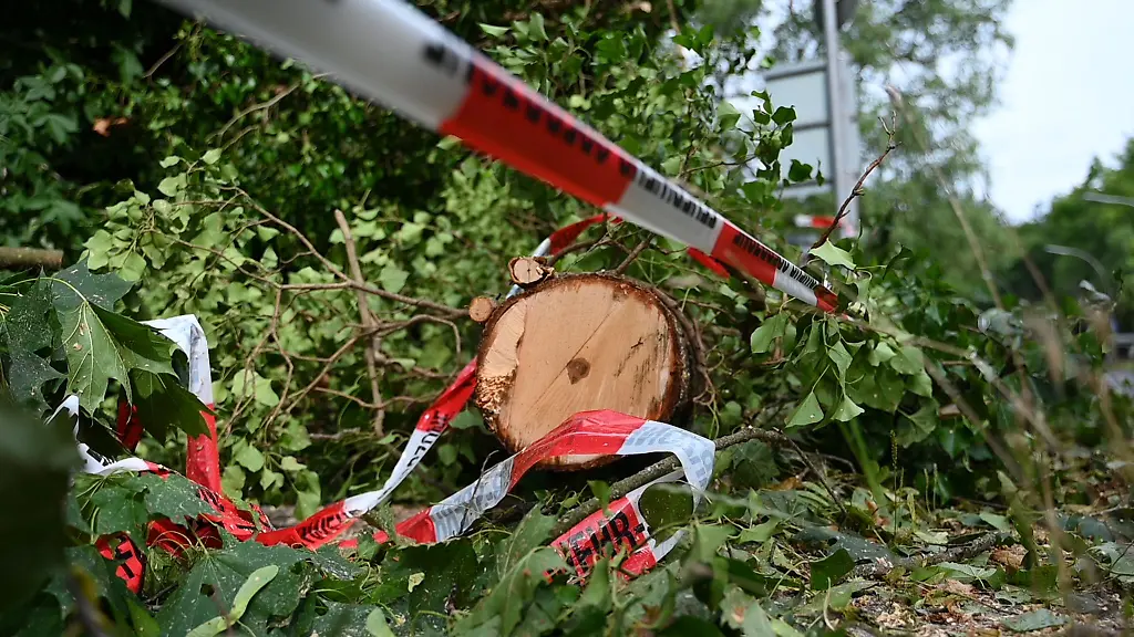 Nach-den-schweren-Unwettern-in-Teilen-Deutschlands-liegen-auch-am-Tegeler-Forst-noch-Reste-abgebrochener-Aeste-und-gebrochener-Baumstaemme