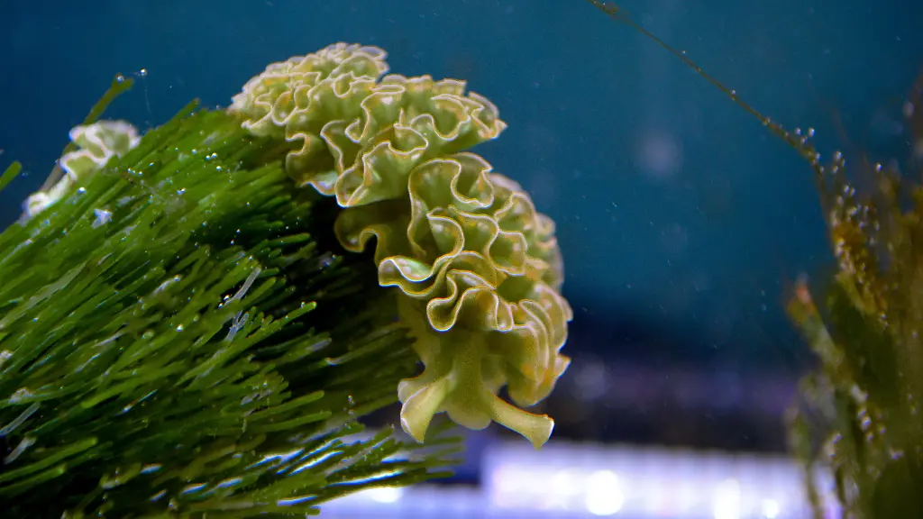 nicht-weiterverwenden