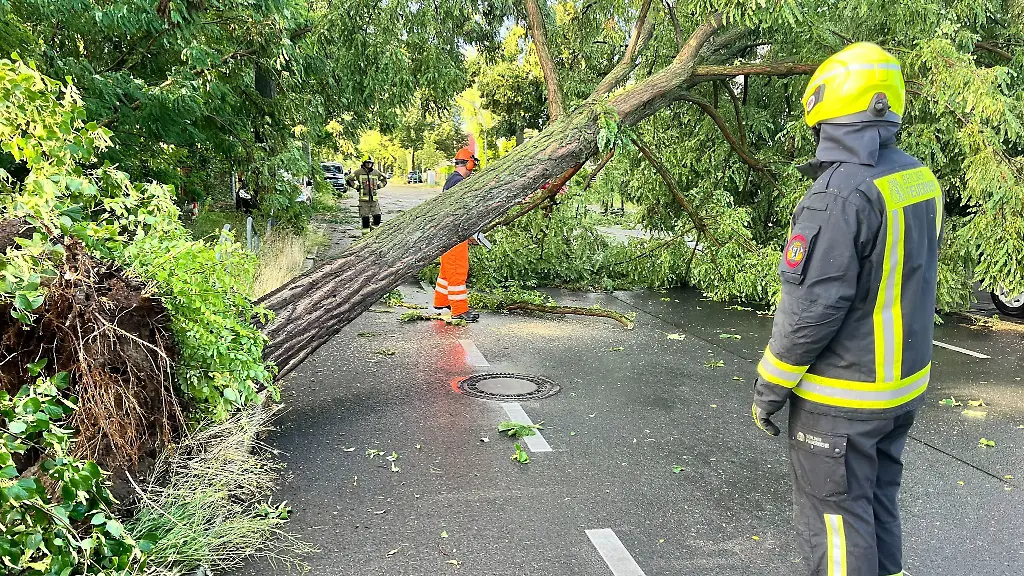 Einsatzkraefte-der-Feuerwehr-arbeiten-auf-einer-Strasse-die-durch-einen-durch-schwere-Boeen-entwurzelten-Baum-blockiert-ist