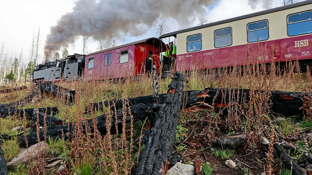 Die-Dampfloks-sind-die-Attraktion-der-Harzer-Schmalspurbahnen