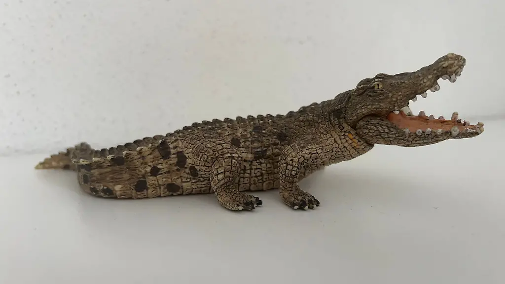 Ein-Passant-rief-die-Polizei-weil-er-das-Spielzeugkrokodil-fuer-ein-echtes-hielt