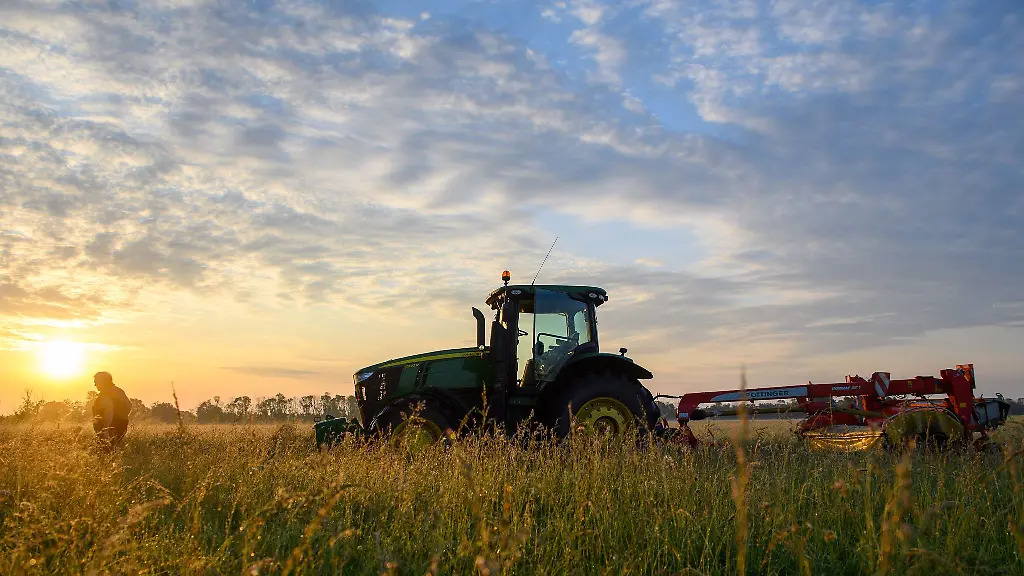 Erste-Schaetzungen-zur-Ernte-2025-zeigen-deutliche-regionale-Unterschiede