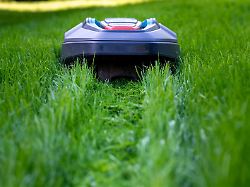 Maehroboter Im Einsatz Regelmaessig Maehen Fuer Einen Schoenen Rasen