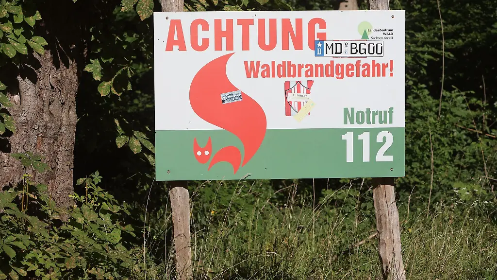 In-weiten-Teilen-des-Landes-herrscht-eine-hohe-Waldbrandgefahr