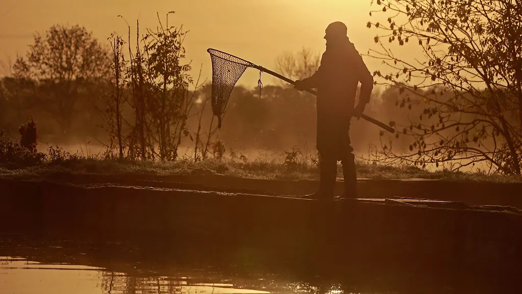 Ministerium-foerdert-Sachsens-Teichwirtschaft-mit-4-3-Millionen-Euro