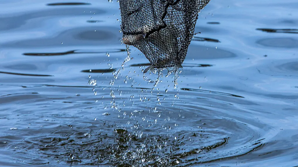 Der-Landesanglerverband-von-Mecklenburg-Vorpommern-trifft-sich-zu-seiner-Delegiertenkonferenz