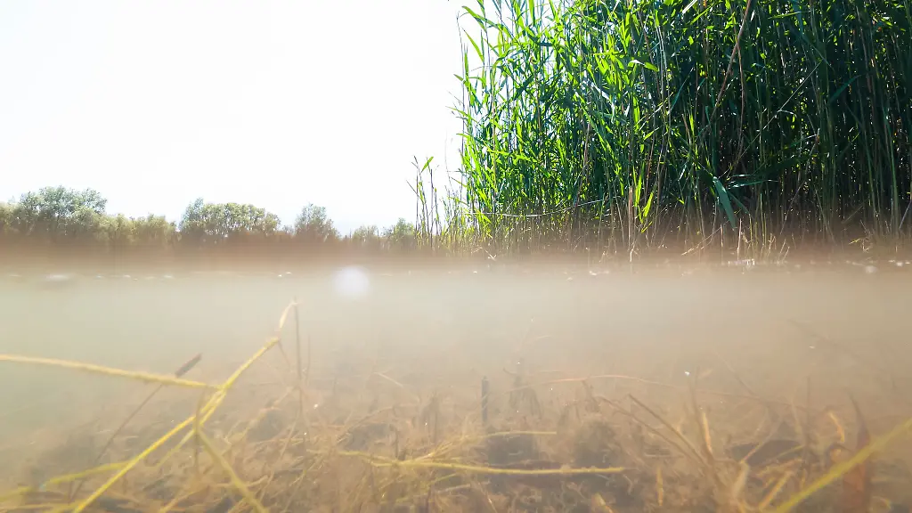 Die-Badestelle-Diethe-Langern-im-Landkreis-Nienburg-ist-mit-mangelhafter-Wasserqualitaet-eine-Ausnahme