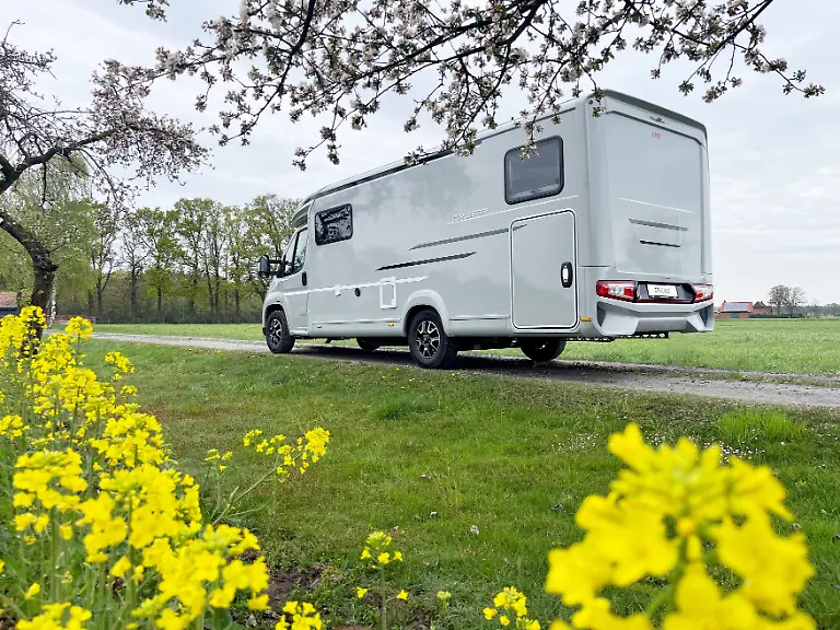 LMC-Cruiser-T740EL-2