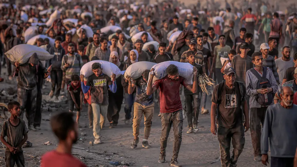 c9c2dbe6ae58d25501f9e7a8581dc256