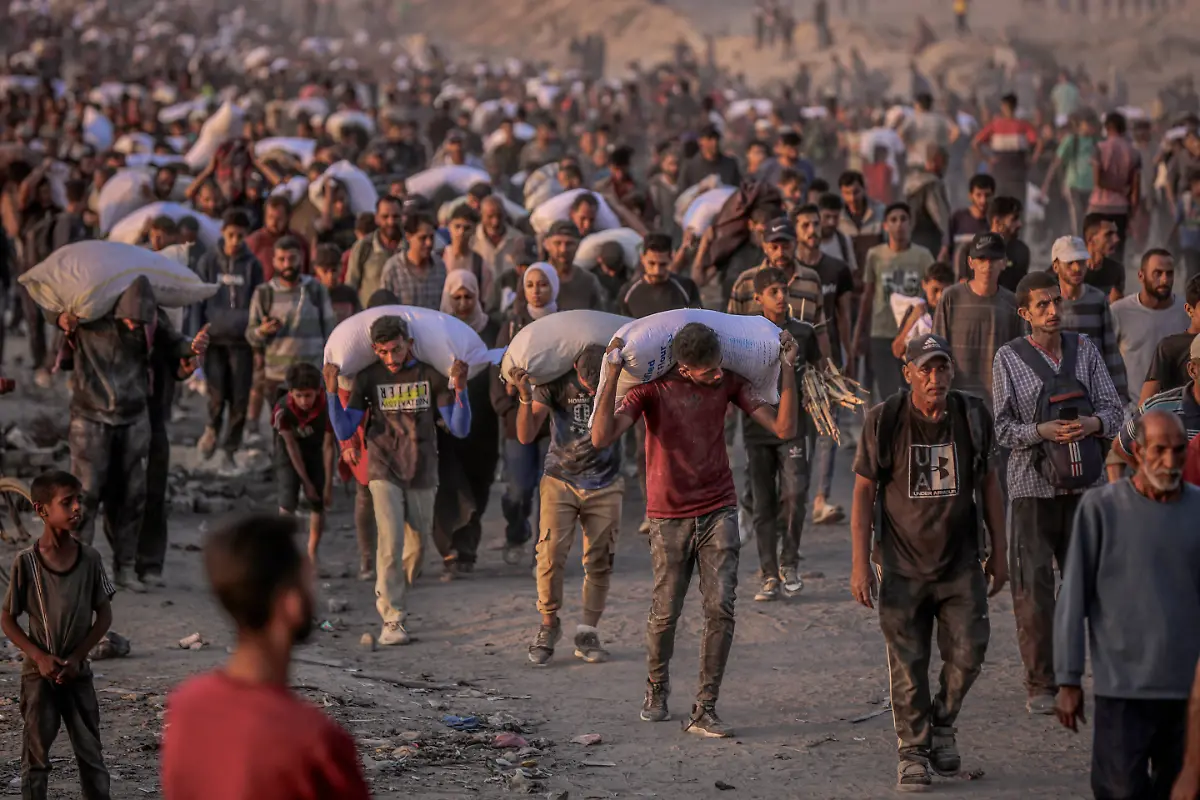 c9c2dbe6ae58d25501f9e7a8581dc256