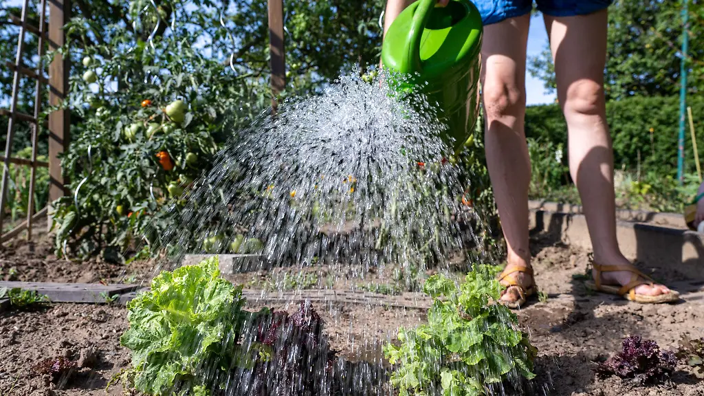 Aufgrund-der-niedrigen-Wasserstaende-darf-in-einzelnen-Landkreisen-derzeit-kein-Wasser-mehr-aus-Fluessen-entnommen-werden