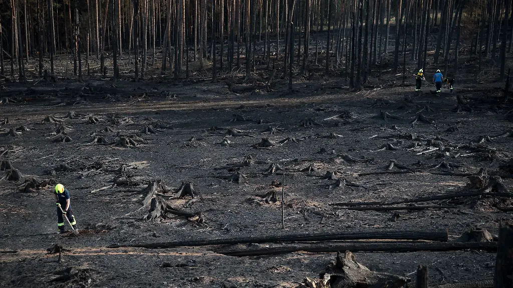 Der-Waldbrand-hat-grosse-Flaechen-verkohlt