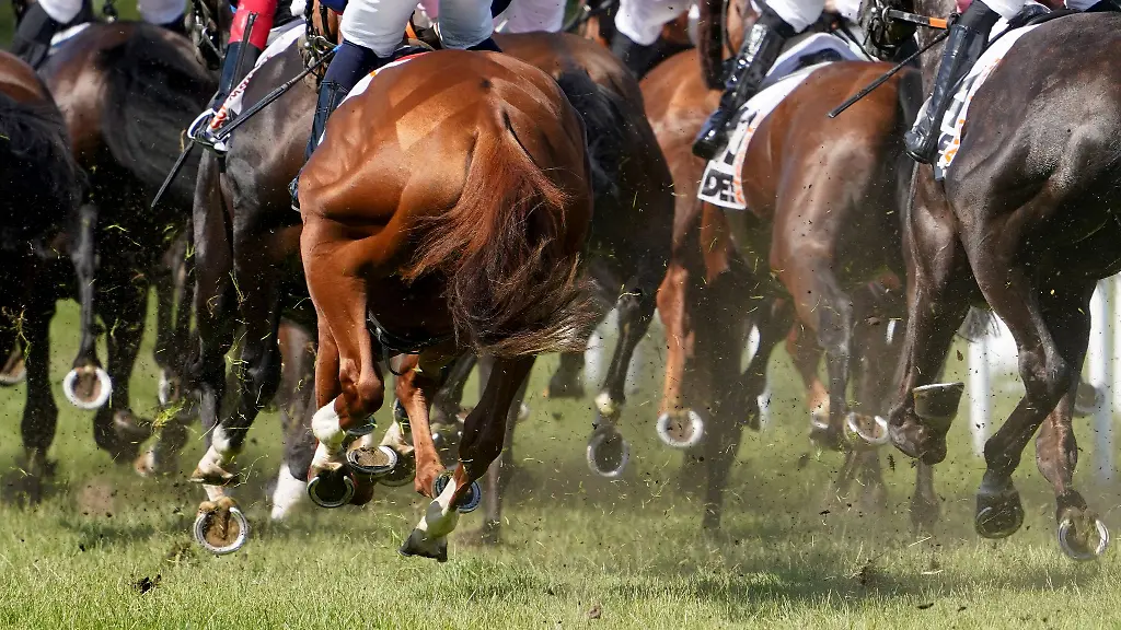 Der-Hengst-Augustus-hat-den-Grossen-Hansa-Preis-gewonnen