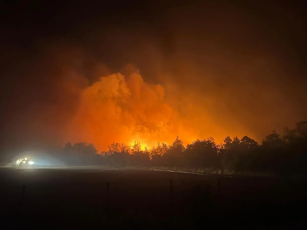 515584025-1031703522457113-8607828205138330177-n