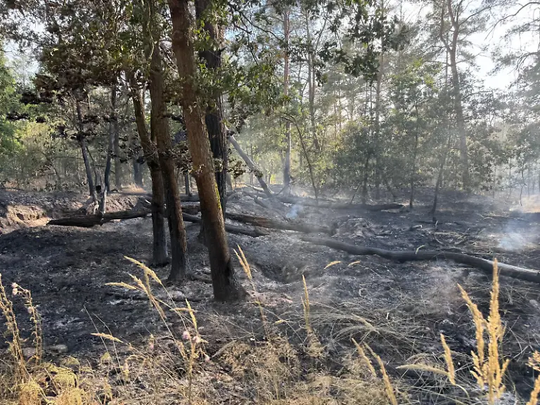 515706550-757966806798366-2467548736218121413-n