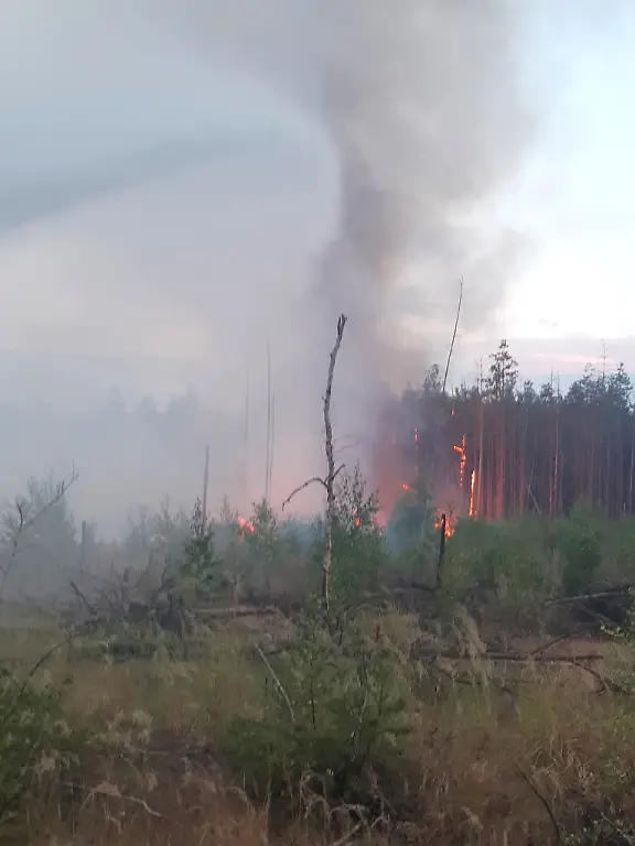 516582424-1126229026217788-5745144234892429893-n