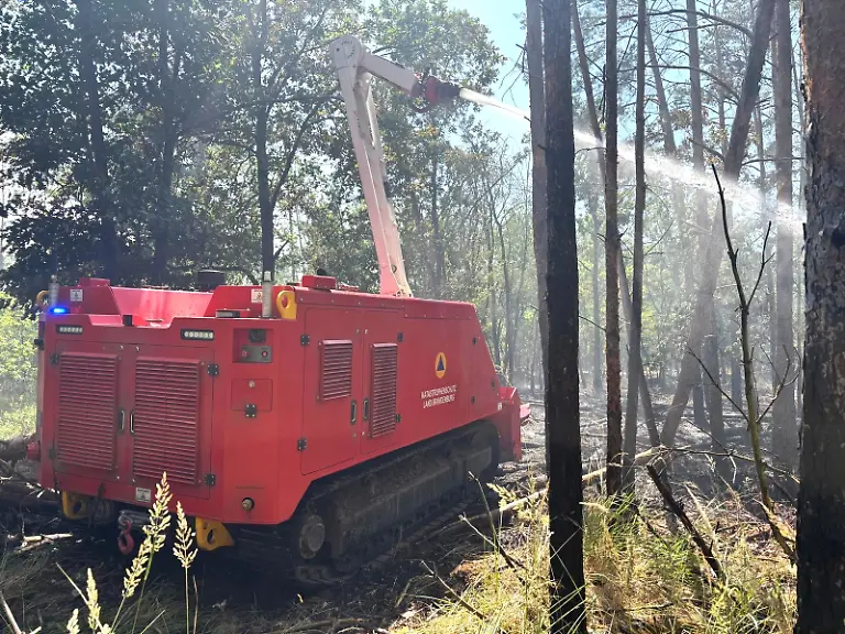 516397238-1051660703765118-4757690181156932440-n