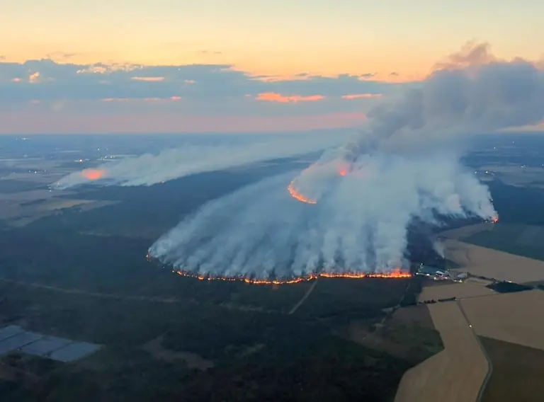 516253787-1168374681983798-1444299304844017731-n