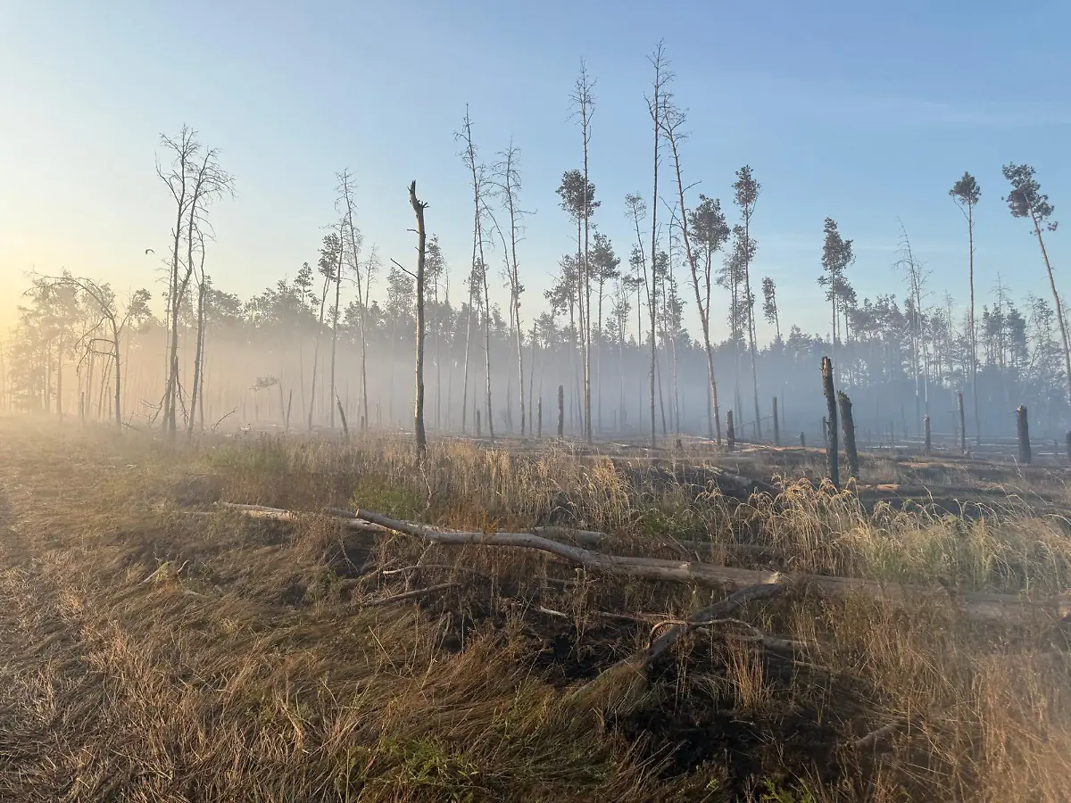 515636742-757966753465038-9005518593847969872-n