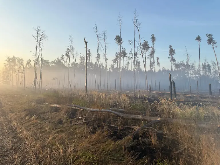 515636742-757966753465038-9005518593847969872-n