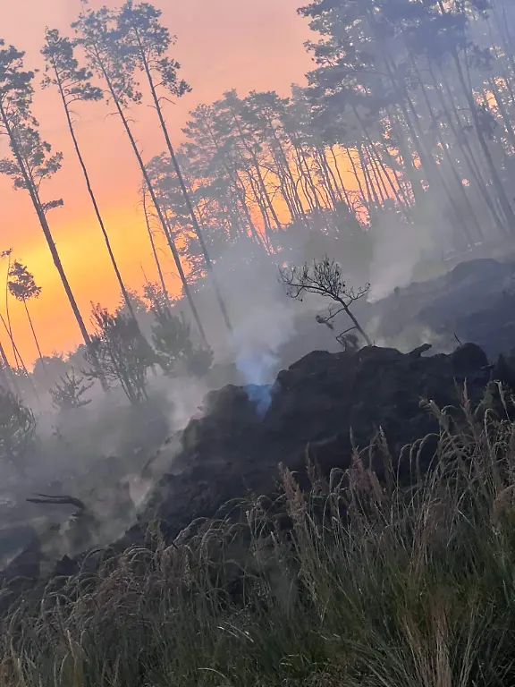 516072478-1149224573905682-4483971760556716026-n