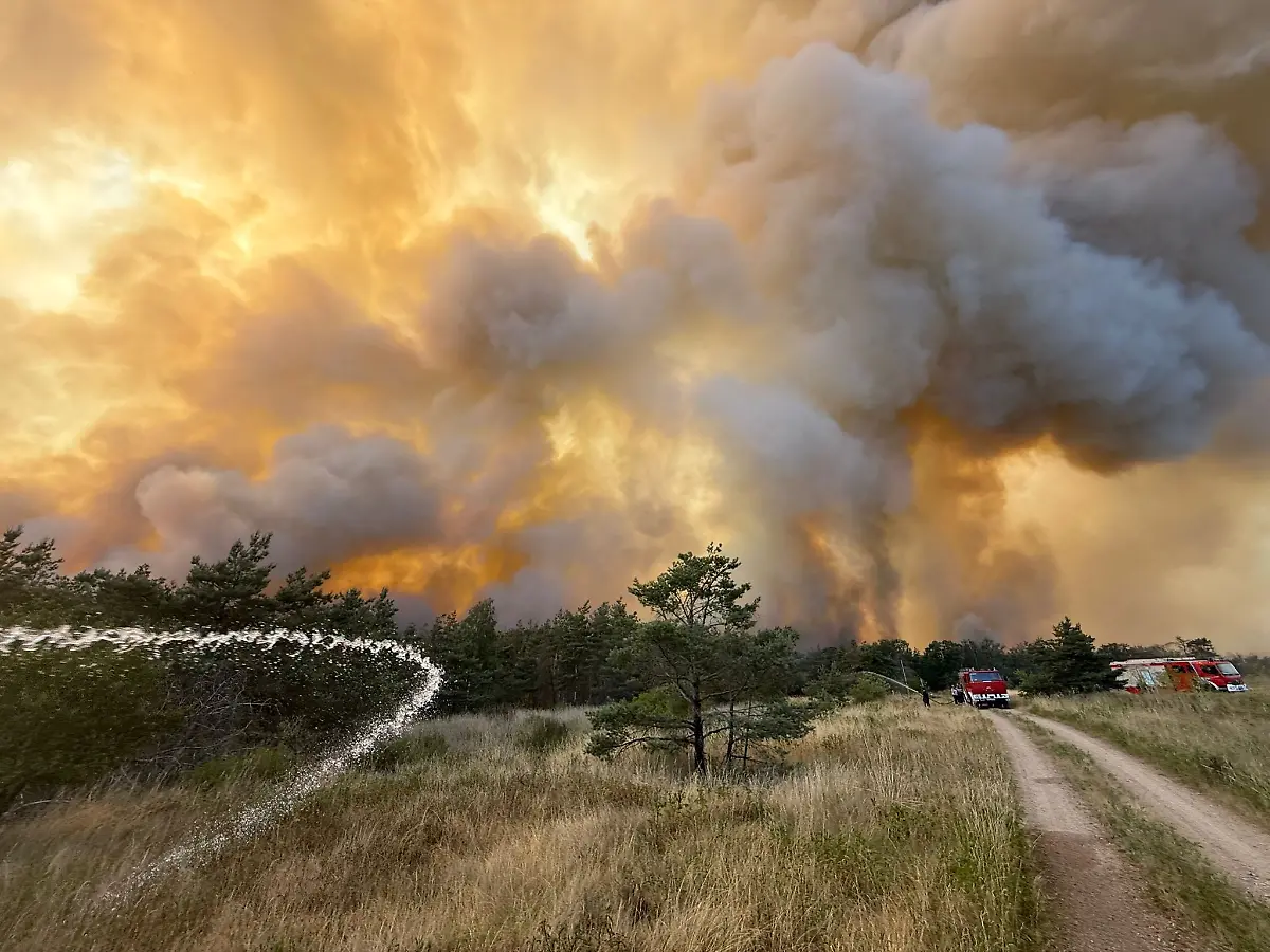 513879237-1144206011066998-7766607624118496523-n