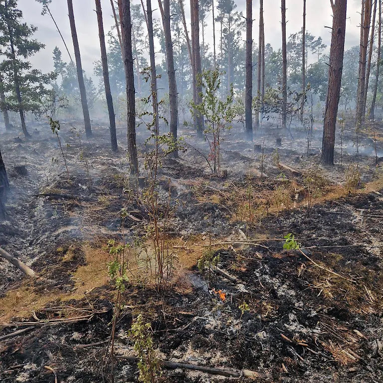 515999151-1150730777094897-104942348553976265-n