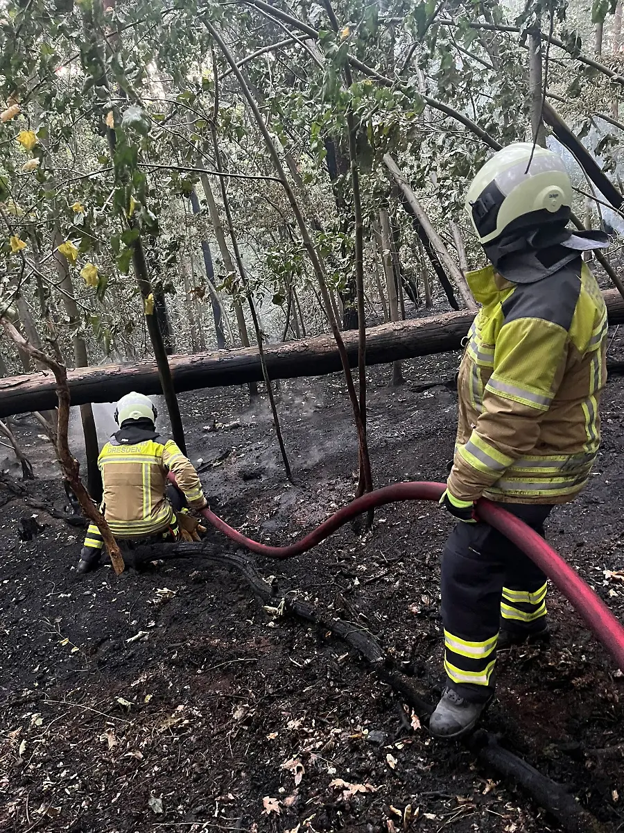 504378836-711005058227895-8830050549140706223-n