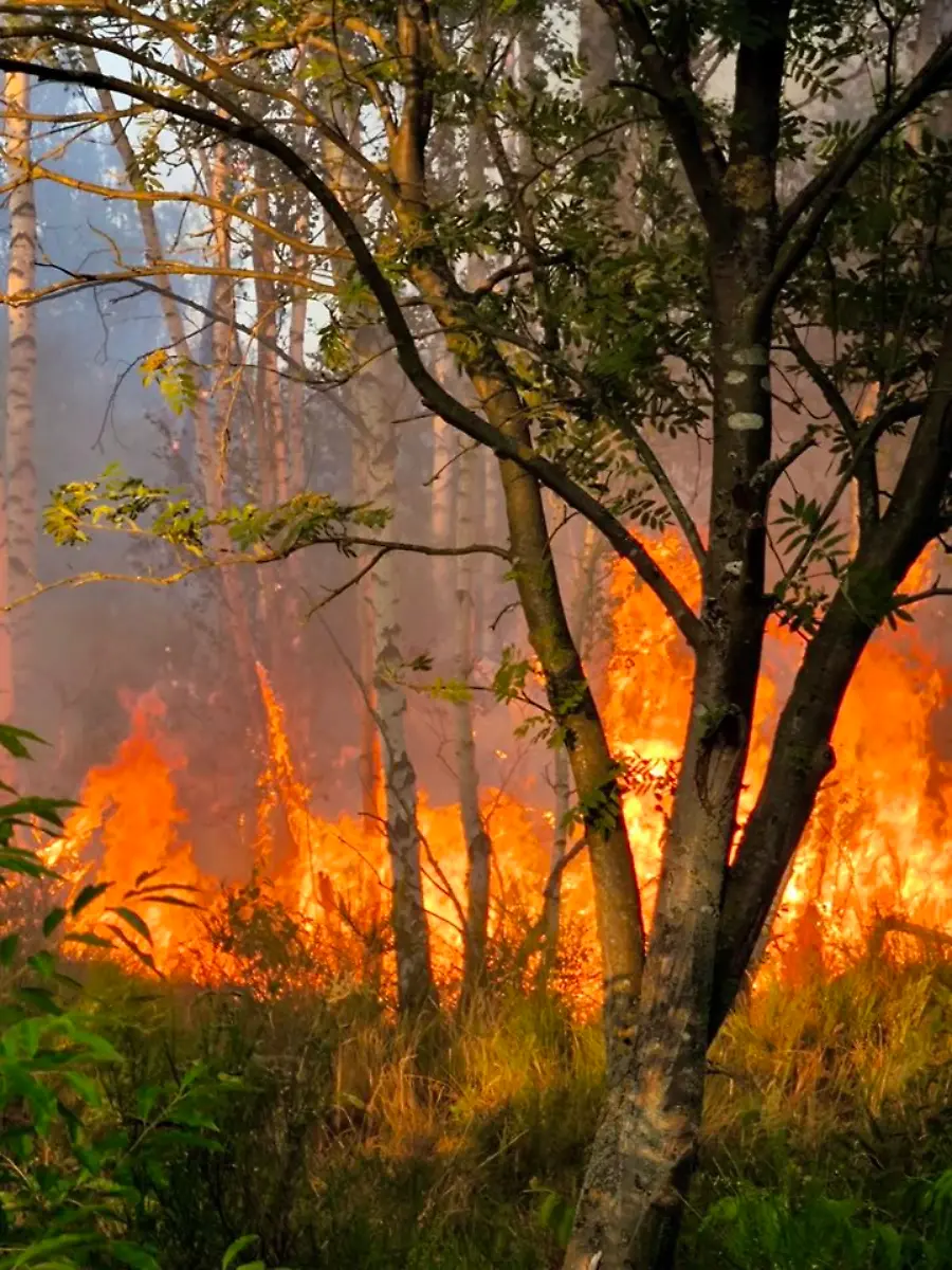 515422427-1215496163943939-6762913619897953468-n