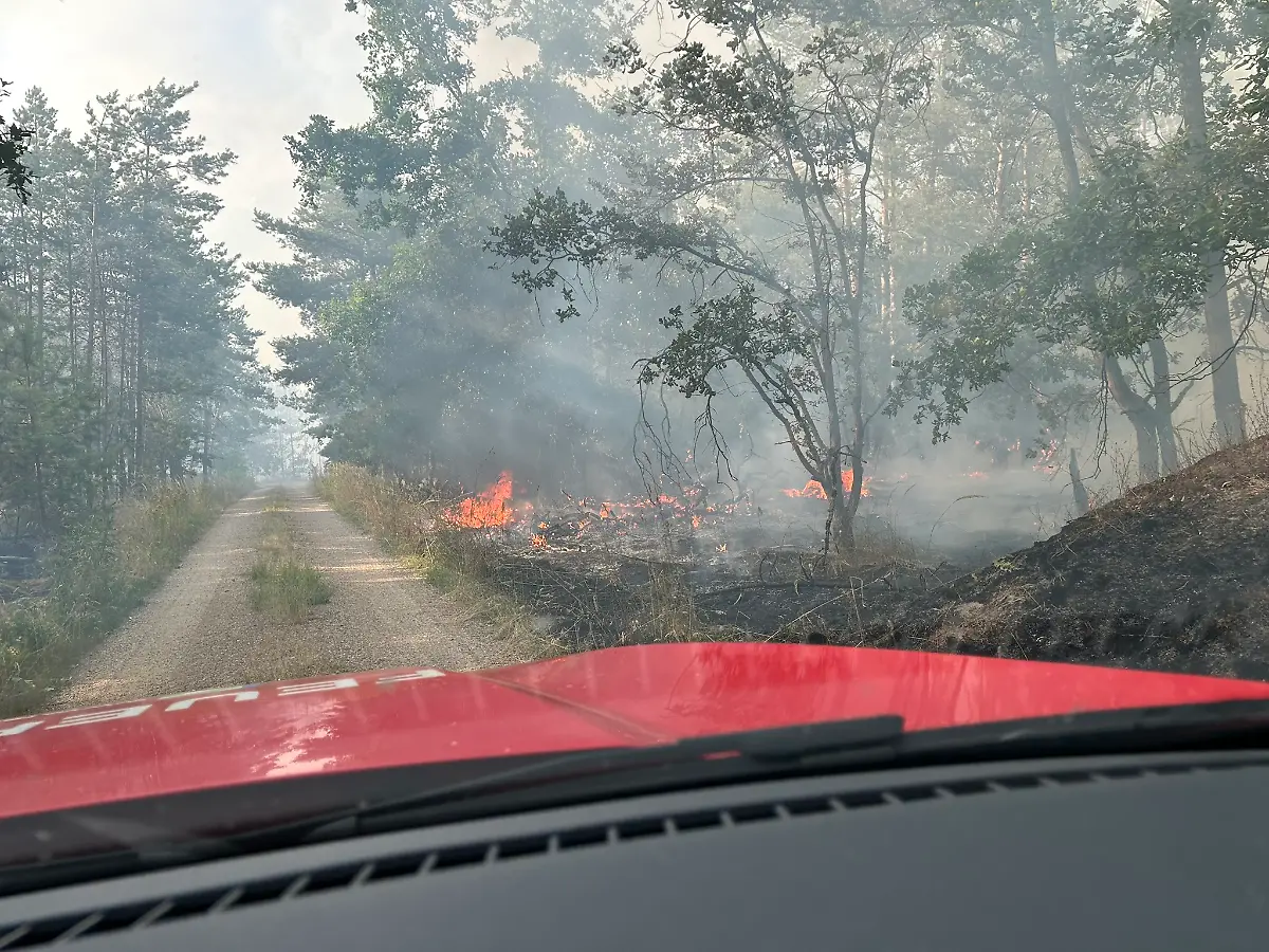 515083469-1134571925372263-1806013293846572599-n