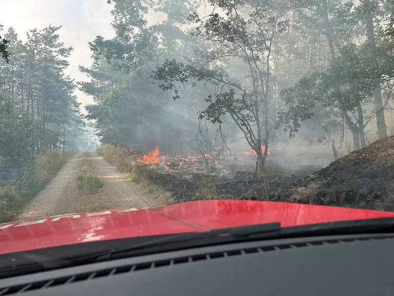 515083469-1134571925372263-1806013293846572599-n