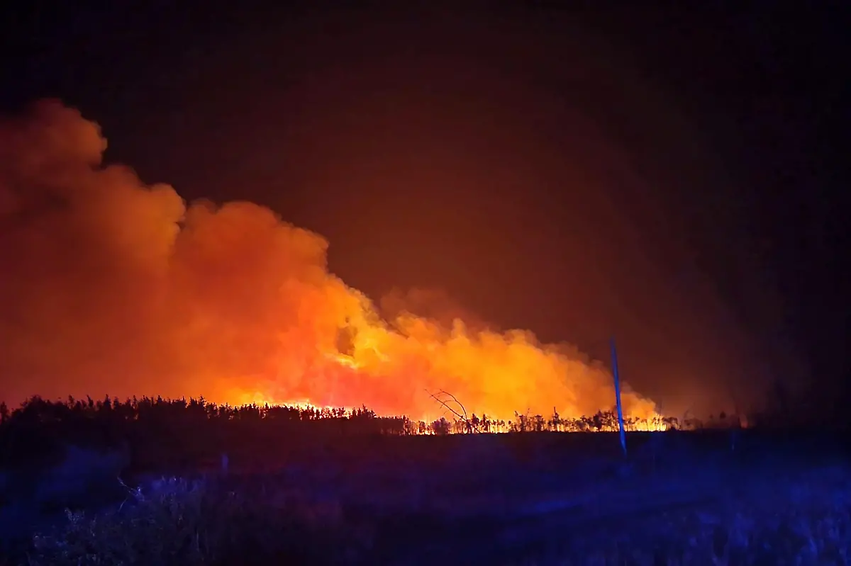 515705852-1128816365945593-3765458911747942898-n