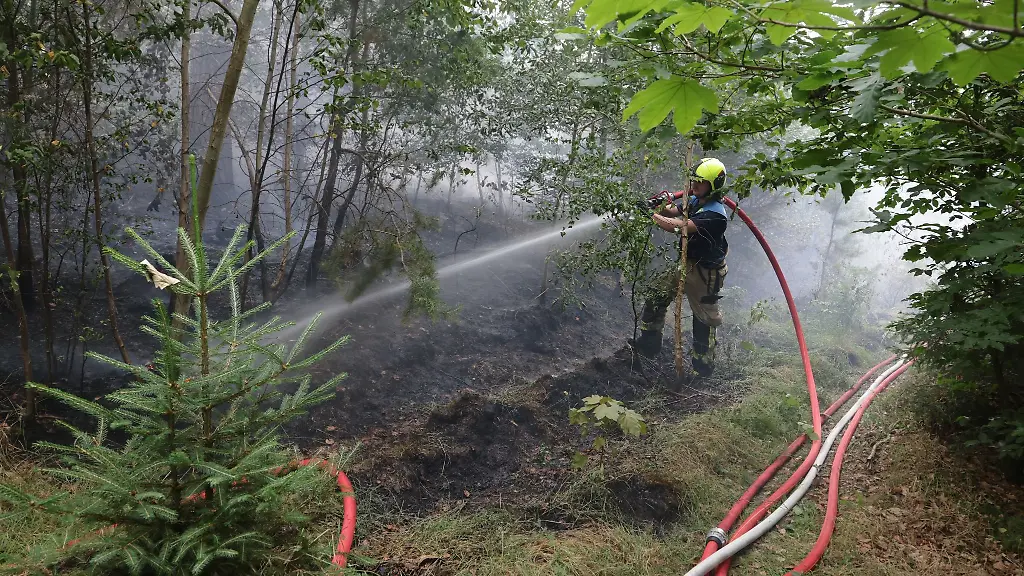 Die-Feuerwehr-musste-im-Stadtwald-von-Gera-anruecken