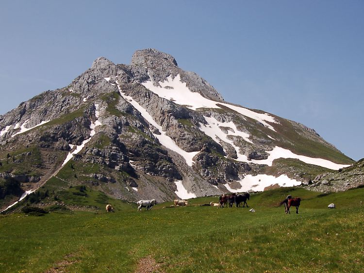 Der "schwarze Berg", wie die Einheimischen Montenegro nennen, soll ein grüner Staat werden, so steht es in der Verfassung. Doch noch zieht oft der Rauch von verbranntem Plastik durch die Bergidylle.