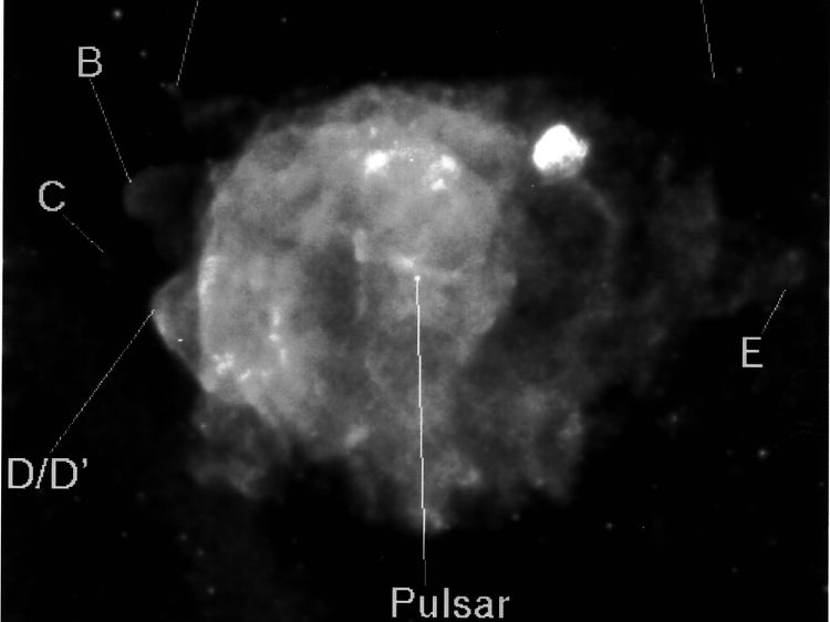 Eine Rosat-Aufnahme von 1995: Abbild der Supernova-Explosion im Sternbild Vela (Segel) mit Pulsar, Explosionswolke und Sichelstrukturen.