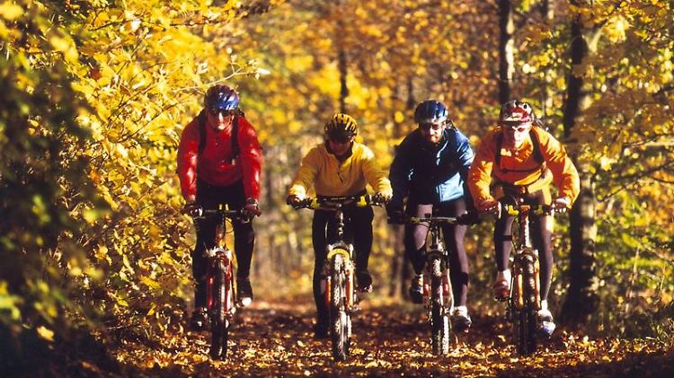 Jetzt wird noch Ingenieursbüro gesucht, das die drahtlose Fahrradbremse umsetzt.